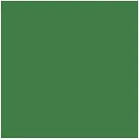 Oasis green ( Plain )